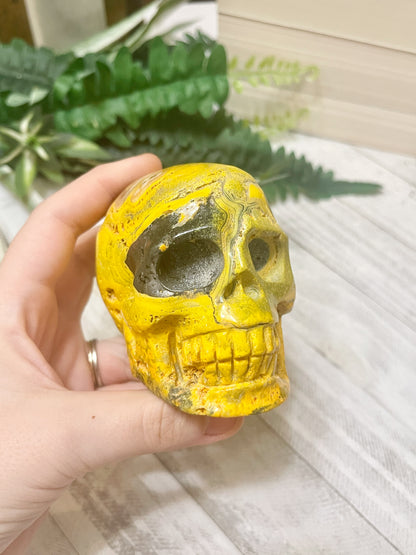 bumblebee jasper skull