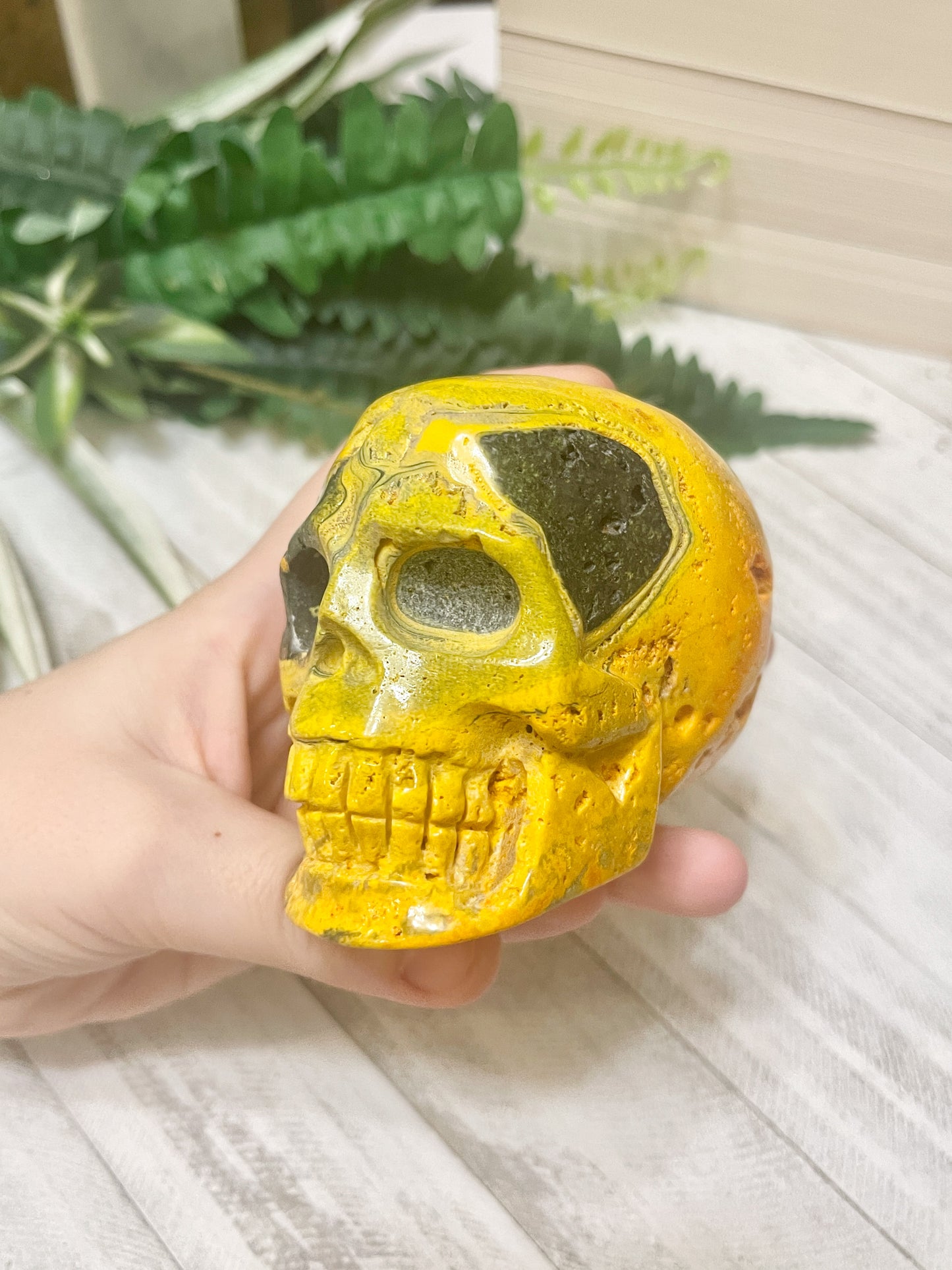 bumblebee jasper skull